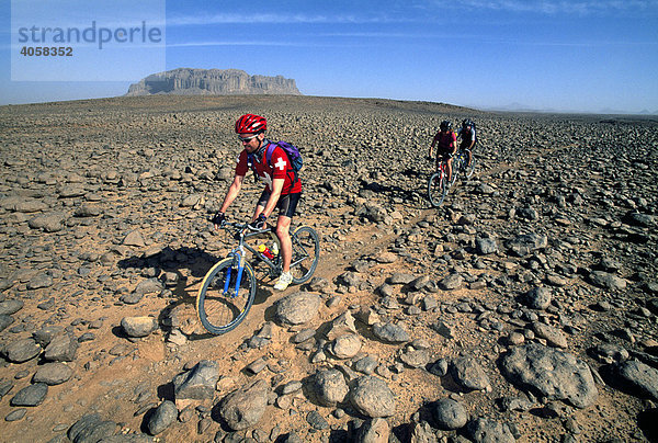 Mountainbiker  Kamelpfad  Hoggar Nationalpark  Hoggargebirge  Algerien  Afrika