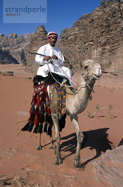 Beduine  Kamel  Wadi Rum  Jordanien  Naher Osten