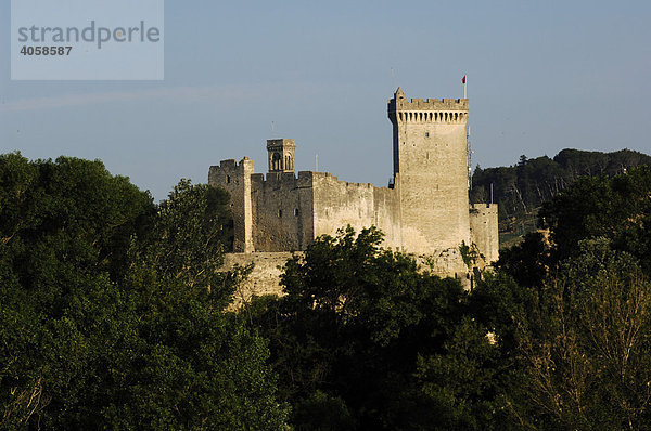 Chateau du Roi Rene  Tarascon    Provence  Frankreich  Europa