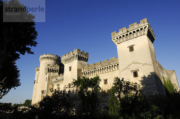 Chateau du Roi Rene  Tarascon  Provence  Frankreich  Europa