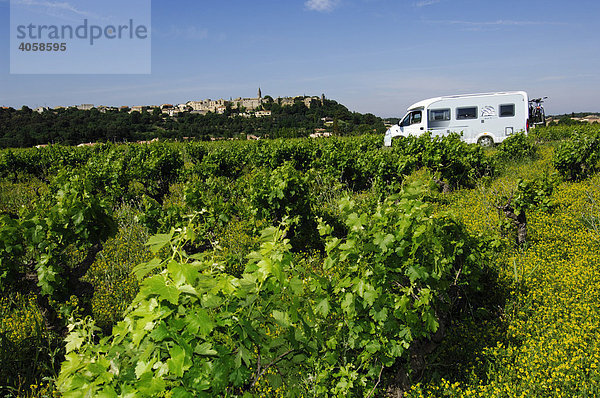 Wohnmobil vor Weinbergen  Provence  Frankreich  Europa