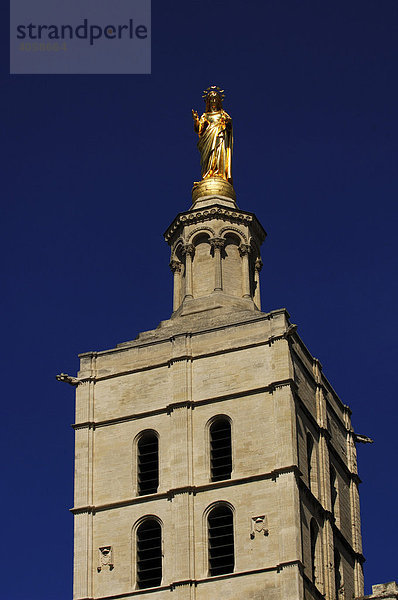 Notre Dame des Doms  Avignon  Provence  Frankreich  Europa