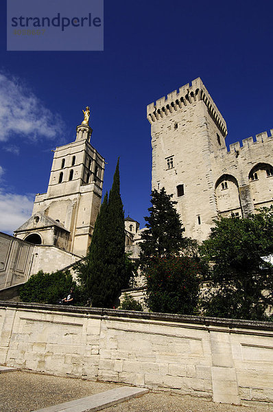 Papstpalast  Avignon  Provence  Frankreich  Europa