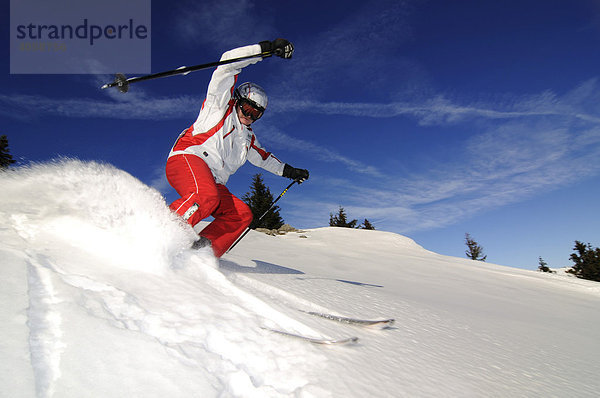 Skifahrer im Pulverschnee am Kitzlahner-Hang  Skigebiet Sudelfeld  Bayrische Alpen  Bayern  Deutschland  Europa