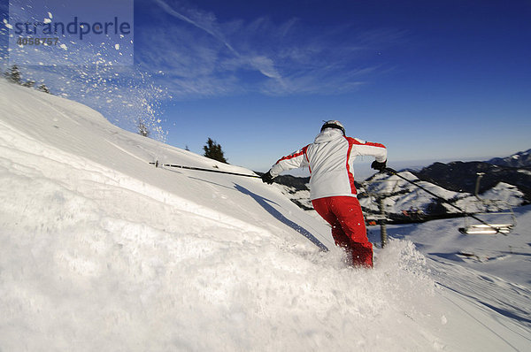 Skifahrer im Pulverschnee am Kitzlahner-Hang  Skigebiet Sudelfeld  Bayrische Alpen  Bayern  Deutschland  Europa