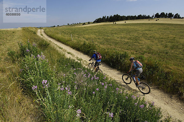 Mountainbiker bei Medille  Ardèche  Rhones-Alpes  Frankreich  Europa