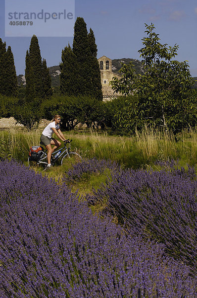 Radfahrerin vor Kapelle bei Aubenas  Lavendelfeld  Ardèche  Rhones-Alpes  Frankreich  Europa