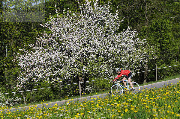 Rennradfahrer  Racebiker  Samerberg  Chiemgau  Bayern  Deutschland  Europa