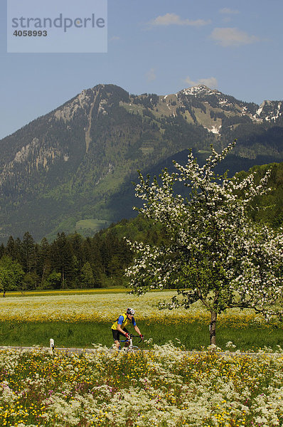 Rennradfahrer  Racebiker  Schleching  Chiemgau  Bayern  Deutschland  Europa