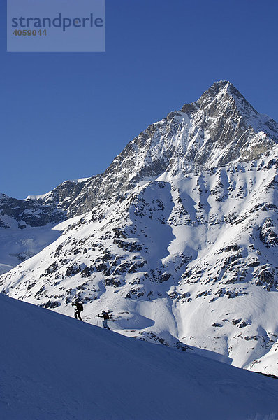Skibergsteiger vor dem Obergabelhorn  Zermatt  Wallis  Schweiz  Europa