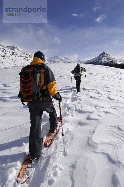 Schneeschuh-Wanderer  Aufstieg zum Monte Rosso  Roteck  Hochpustertal  Dolomiten  Südtirol  Italien  Europa