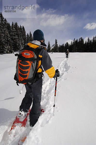 Schneeschuh-Wanderer auf dem Weg zur Alpe Nemes  Hochpustertal  Dolomiten  Südtirol  Italien  Europa