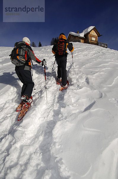 Schneeschuhwanderer beim Aufstieg zur Rotwand  Hochpustertal  Dolomiten  Südtirol  Italien  Europa