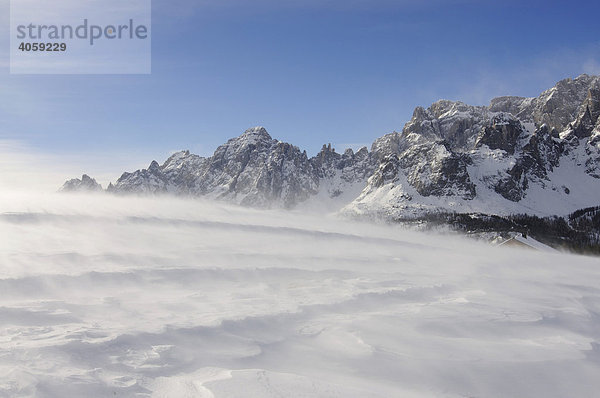 Schneesturm auf der Alpe Nemes  Hochpustertal  Südtirol  Dolomiten  Italien  Europa