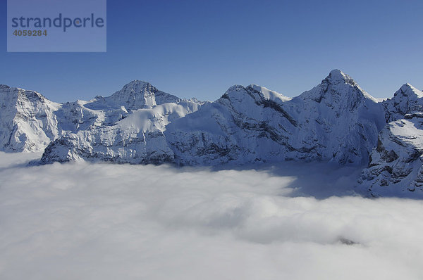 Panoramablick vom Schilthorn  Piz Gloria in die Berner Alpen  Lauterbrunnen  Schweiz  Europa
