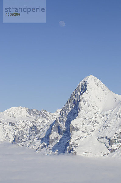 Panoramablick vom Schilthorn  Piz Gloria auf den Eiger mit Nordwand  Lauterbrunnen  Berner Alpen  Schweiz  Europa