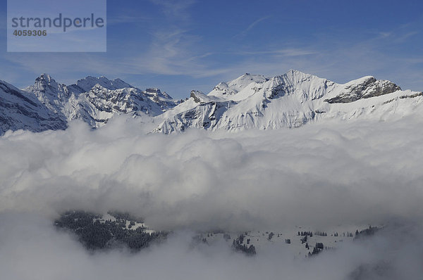 Blick vom Männlichen auf das Schilthorn  Grindelwald  Berner Alpen  Schweiz  Europa