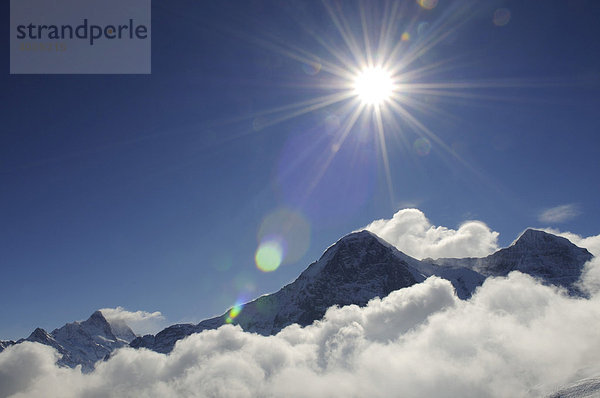 Blick vom Männlichen auf Wetterhorn  Eiger  Mönch  Grindelwald  Berner Alpen  Schweiz  Europa