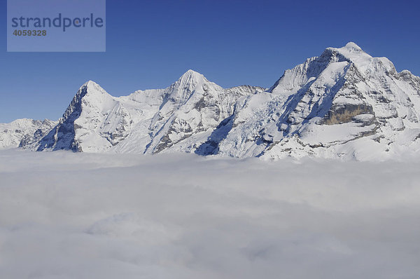 Blick von Schilthorn auf Eiger  Mönch  Jungfrau  Grindelwald  Berner Alpen  Schweiz  Europa