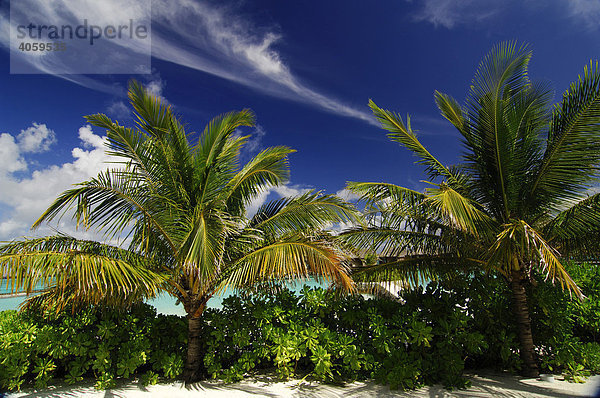 Wolken und Palmen  Full Moon Resort  Malediven  Indischer Ozean