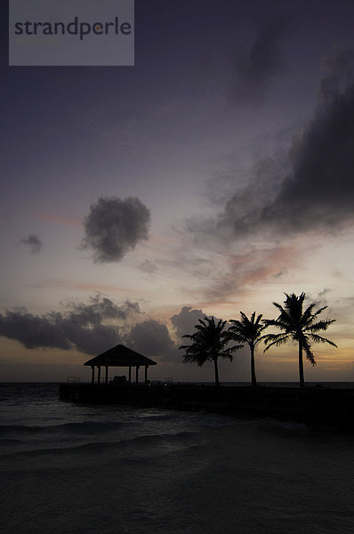 Landesteg  Palmen  Gegenlicht  Laguna Resort  Malediven  Indischer Ozean