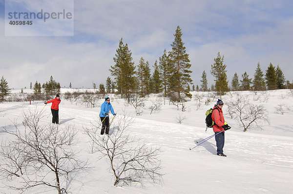 Nordic Ski  Langläufer im Urho Kekkonen Nationalpark  Kiilopää  Ivalo  Lappland  Finnland  Europa