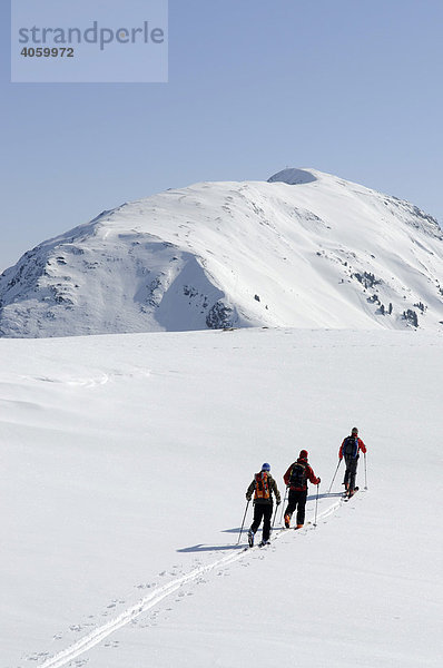 Skiwanderer bei Skitour auf den Joel und Lämpersberg  Wildschönau  Tirol  Österreich  Europa
