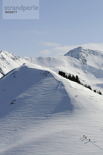 Skiwanderer bei Skitour auf den Joel und Lämpersberg  Wildschönau  Tirol  Österreich  Europa