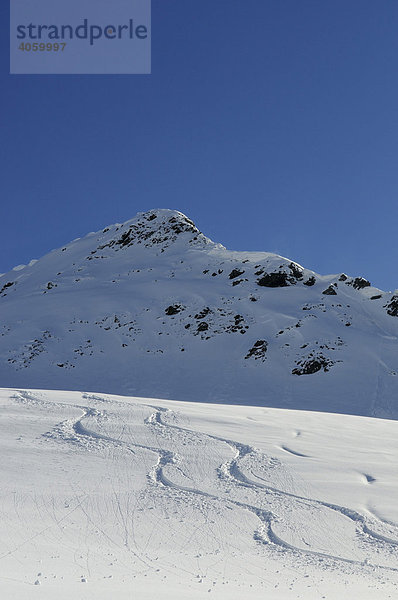 Skispuren  Brechhorn  Spertental  Tirol  Österreich  Europa