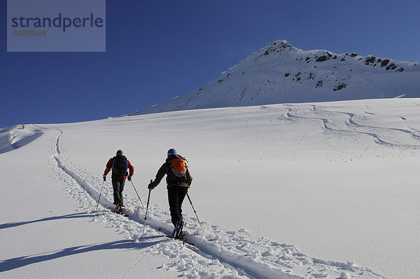 Skiwanderer bei Skitour auf das Brechhorn  Spertental  Tirol  Österreich  Europa