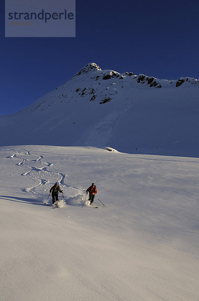 Skiwanderer bei Skitour  Abfahrt vom Brechhorn  Spertental  Tirol  Österreich  Europa