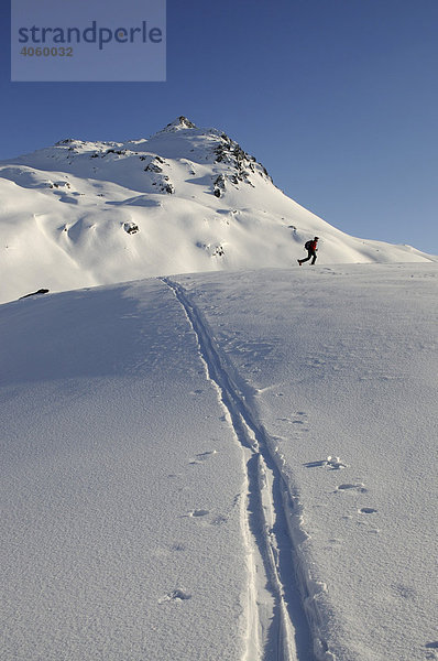 Skiwanderer bei Skitour auf den Tristkopf  Kelchsau  Tirol  Österreich  Europa