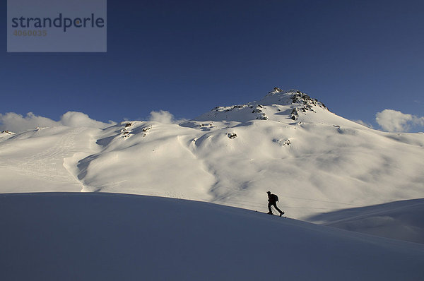 Skiwanderer bei Skitour auf den Tristkopf  Kelchsau  Tirol  Österreich  Europa