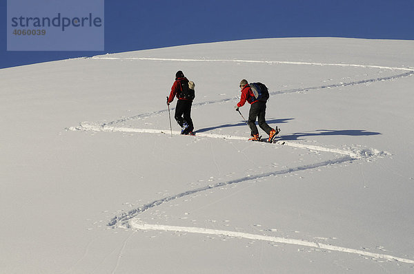 Skiwanderer bei Skitour auf den Tristkopf  Kelchsau  Tirol  Österreich  Europa