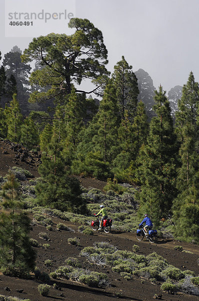 Mountainbiker bei Montana des las Cuevitas  Teneriffa  Kanarische Inseln  Spanien  Europa