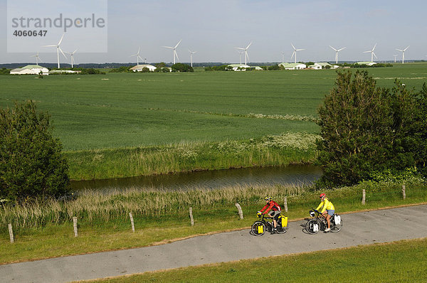 Radfahrer am Deich bei Dagebüll  Nordfriesland  Nordsee  Schleswig-Holstein  Deutschland  Europa