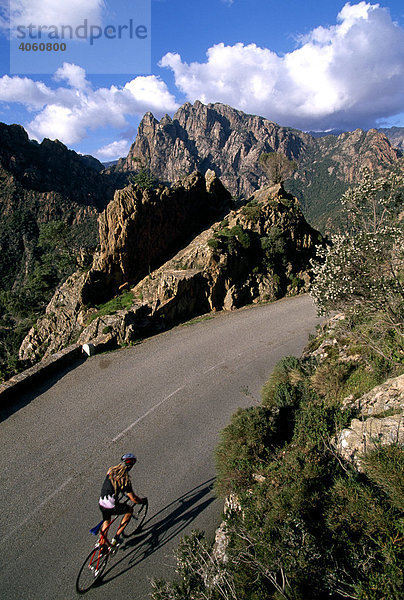 Rennradfahrer am Col de Vergio  Korsika  Frankreich  Europa