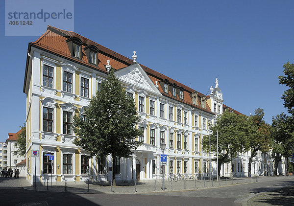 Historische Bürgerhäuser  Domplatz  Magdeburg  Sachsen-Anhalt  Deutschland  Europa