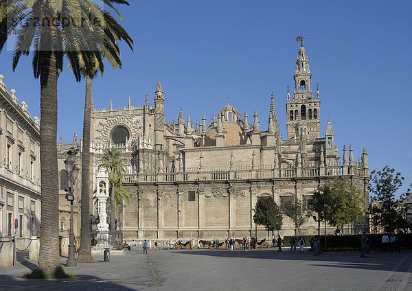 Kathedrale  Catedral de Santa Maria de la Sede mit Giralda  Sevilla  Andalusien  Spanien  Europa