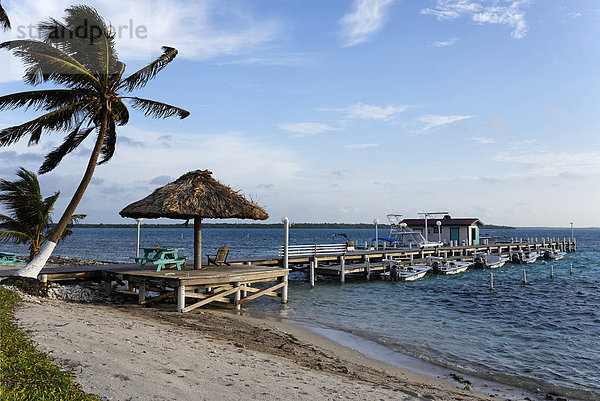 Bootssteg  Turneffe Flats  Turneffe Atoll  Belize  Zentralamerika  Karibik