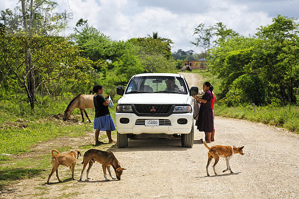 Einheimische Frauen  verkaufen Souvenirs an Touristen in Mitsubishi Auto  Hunde  Pferd  unbefestigte Straße  Punta Gorda  Belize  Zentralamerika  Karibik