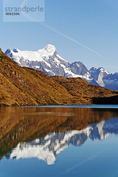 Spiegelung in einem See  Torres del Paine Nationalpark  Patagonien  Chile  Südamerika