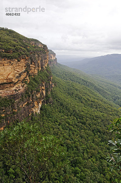 Landschaft in den Blue Mountains  New South Wales  Australien