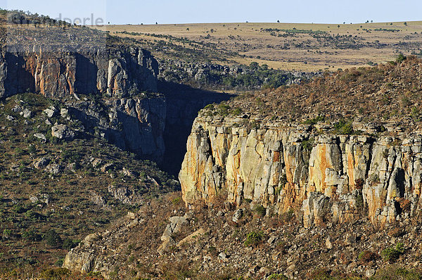 Felsformation  Kleine Drakensberge  Tal des Blyde River  Mpumalanga  Südafrika  Afrika