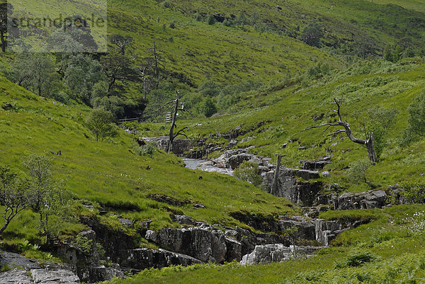 Glen Etive  schottische Highlands  Schottland  Großbritannien  Europa