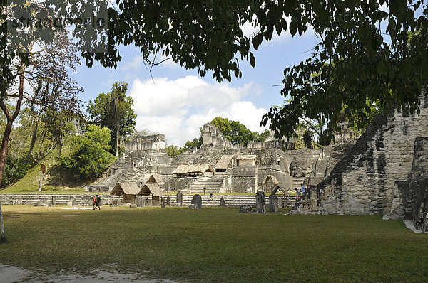 Nördliche Akropolis  Plaza Mayor  Tikal  Guatemala  Mittelamerika