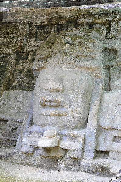 Detail  Maskentempel N9-56  Lamanai  Belize  Mittelamerika