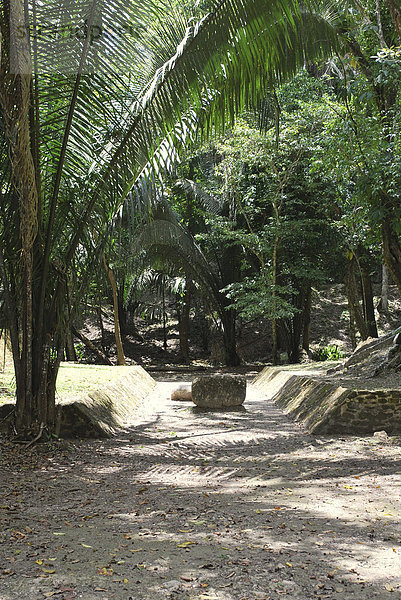 Ballspielplatz  Lamanai  Belize  Mittelamerika