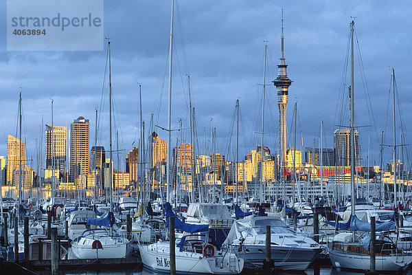 Jachthafen von Auckland mit Skyline im Hintergrund  Auckland  Nordinsel  Neuseeland