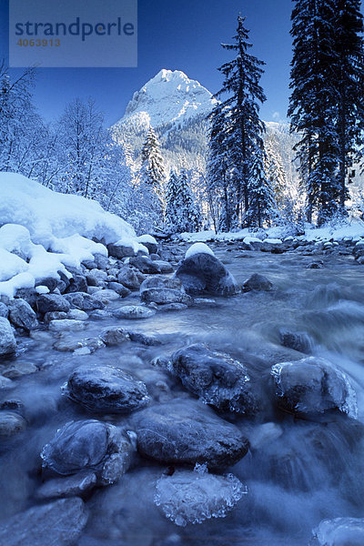 Ampelsbach vor Guffert im Winter  Rofangebirge  Nordtirol  Österreich  Europa
